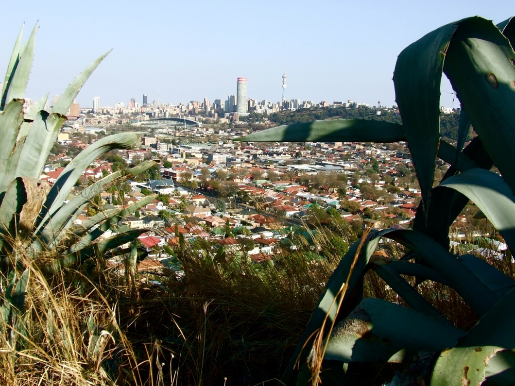 Johannesburg's CBD and eastern suburbs viewed from the top of Langeman's Kop